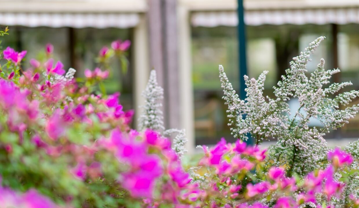 Jardin4 - Grande