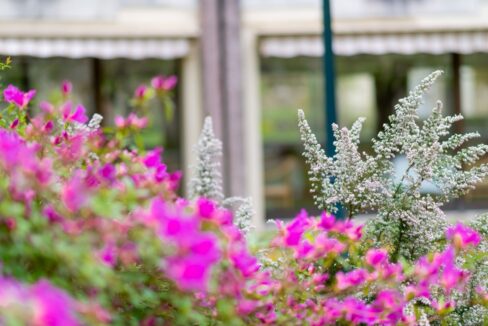 Jardin4 - Grande